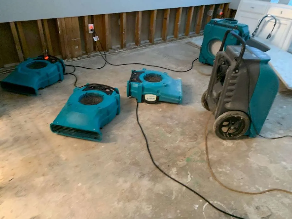 Water Damage Assessment in Live Oak, CA